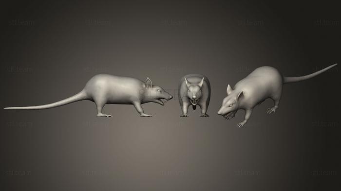 3D model Rat (STL)